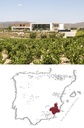 Casa Rojo  The Orange Republic 100% Godello