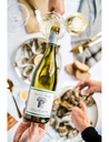 Jozef Calmel Villa Blanche Terret Blanc