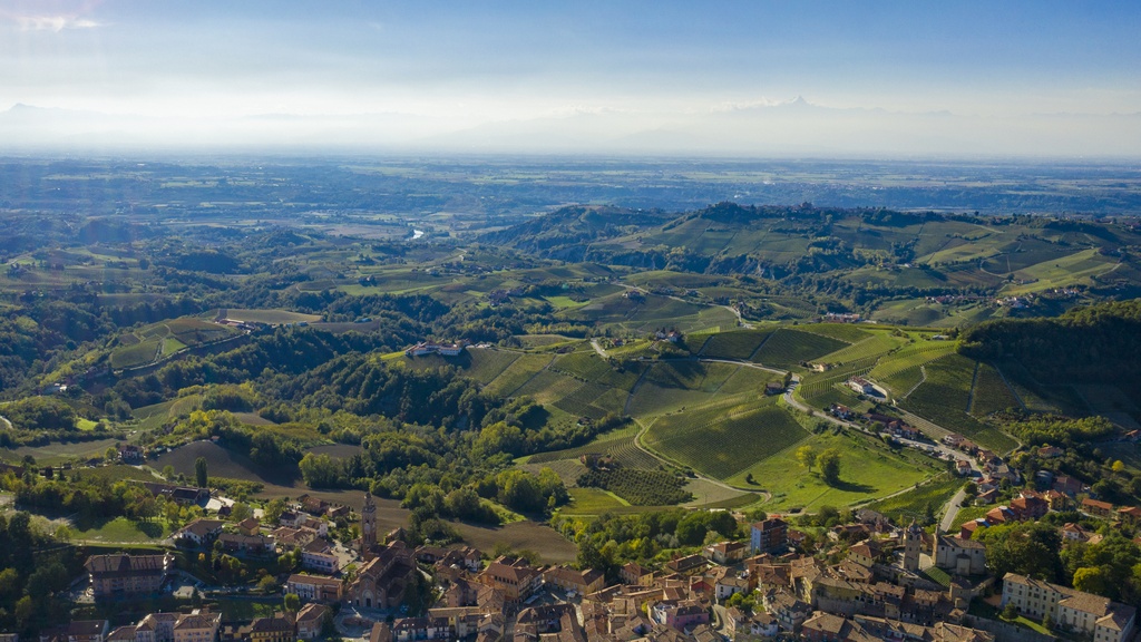 Podere Corsini   Barberra Armujan