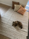 Outdoor rug