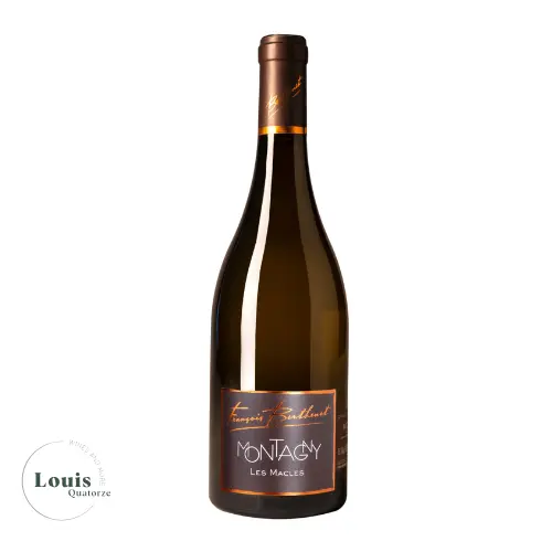 Domaine Berthenet Montagny les Macles