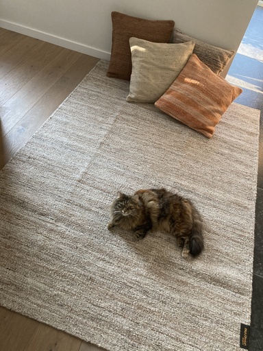 Outdoor rug